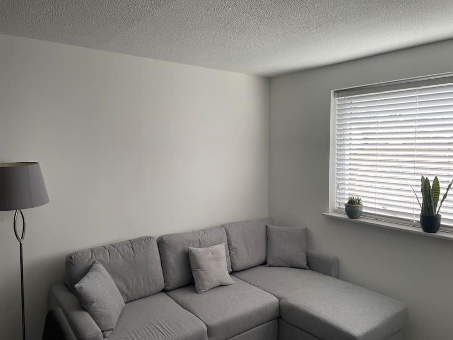 Apartament Lovely 1-bedroom In