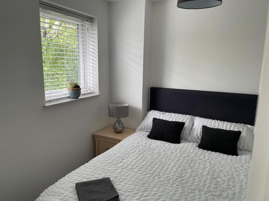 Lovely 1-bedroom In Apartament Londra